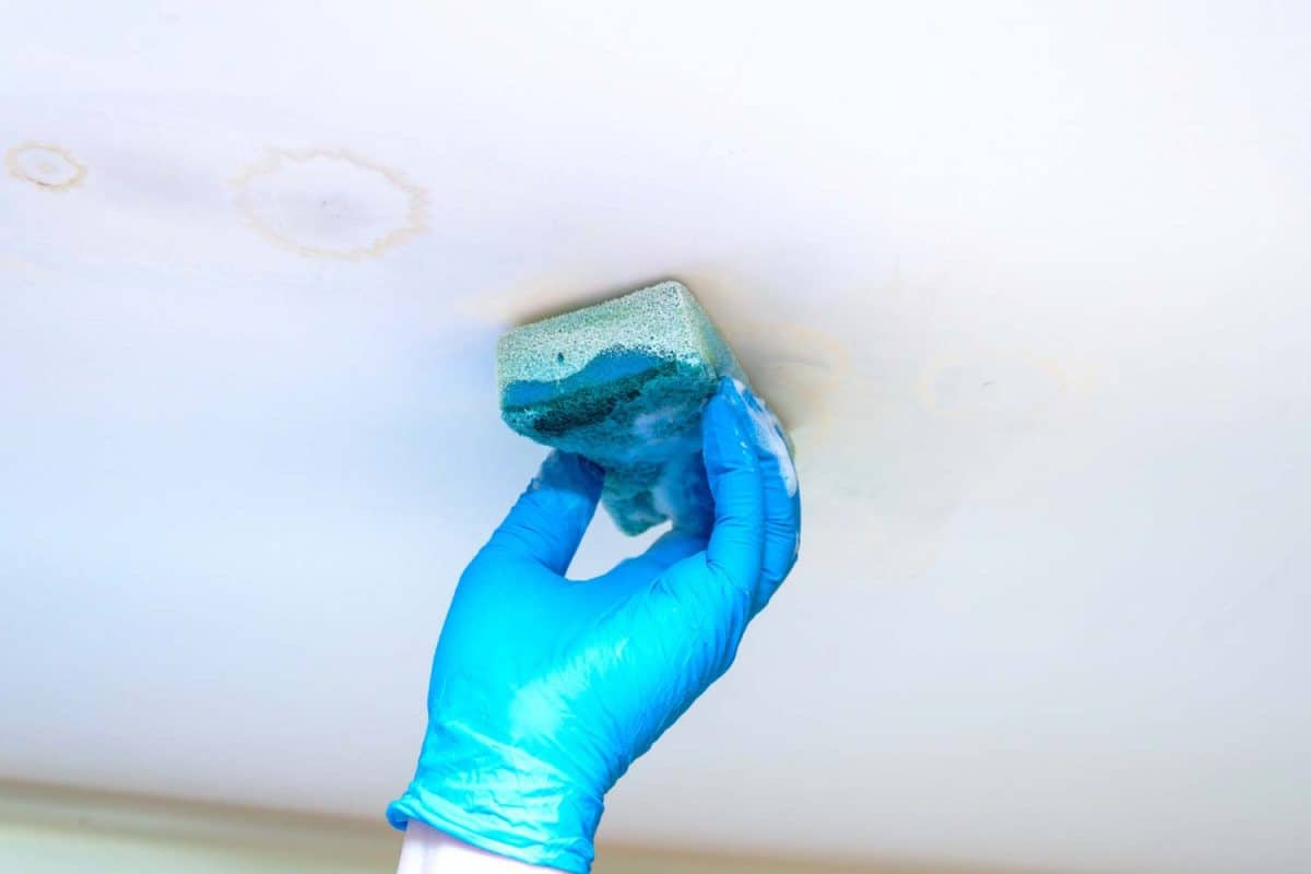 Moisture Condensation Stains on Ceiling [Causes + Fixes] Home Repair Geek